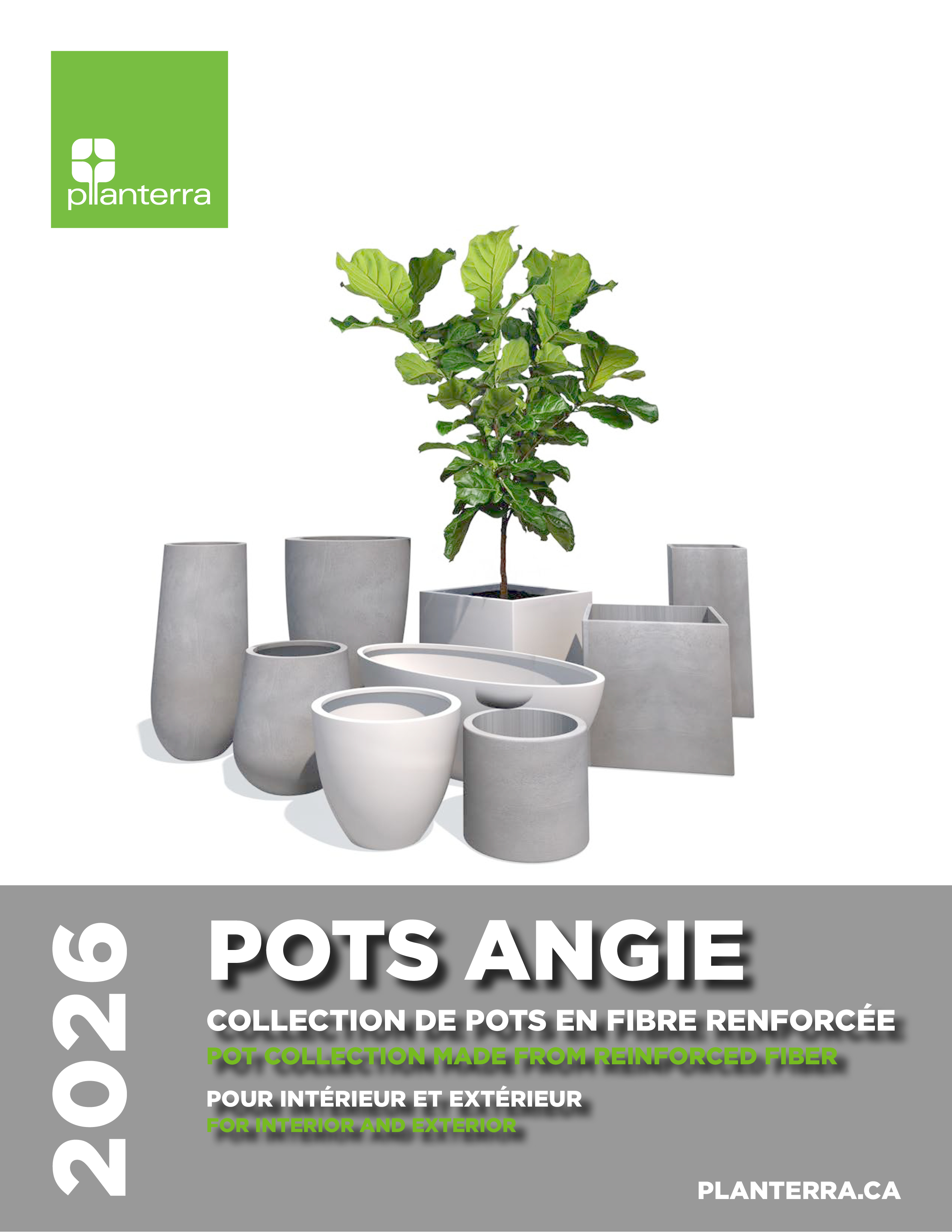 angie catalogue cover image